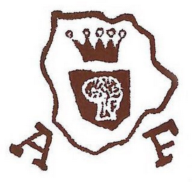 AF logo
