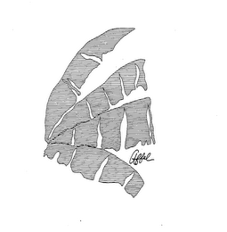 AFFEL logo