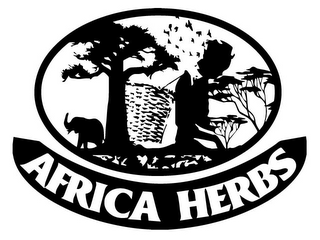 AFRICA HERBS logo
