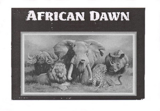AFRICAN DAWN logo