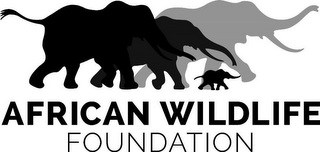 AFRICAN WILDLIFE FOUNDATION logo