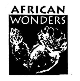 AFRICAN WONDERS logo