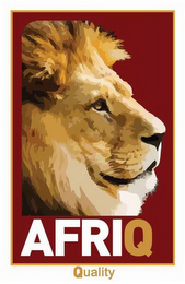 AFRIQ QUALITY logo