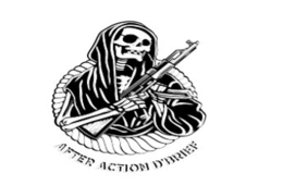 AFTER ACTION D'BRIEF logo