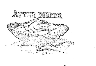 AFTER DINNER logo