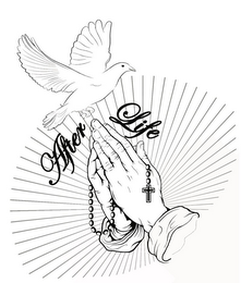 AFTER LIFE logo