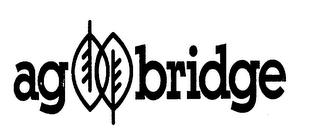 AG BRIDGE logo