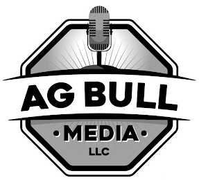 AG BULL MEDIA LLC logo