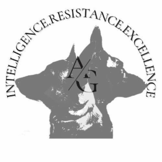 A/G INTELLIGENCE.RESISTANCE.EXCELLENCE. logo