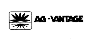 AG-VANTAGE logo