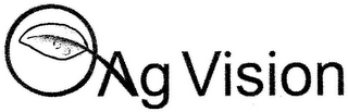 AG VISION logo