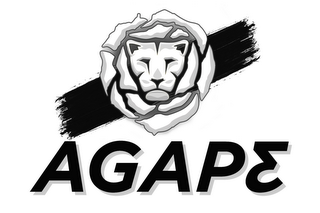AGAP3 logo