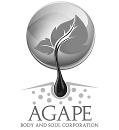 AGAPE BODY AND SOUL CORPORATION logo