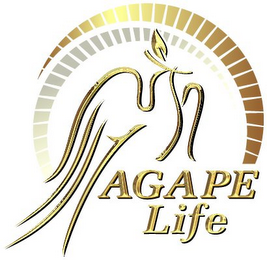 AGAPE LIFE logo