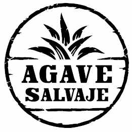 AGAVE SALVAJE logo