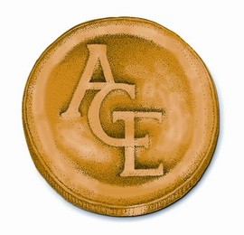 AGE logo