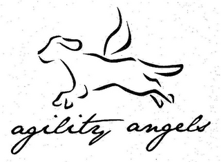 AGILITY ANGELS logo