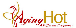 AGING HOT A DIFFERENT FREQUENCY logo