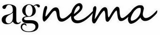 AGNEMA logo