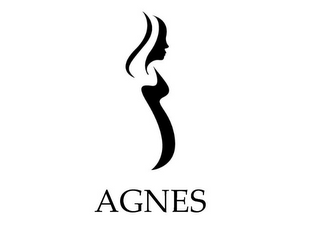 AGNES logo