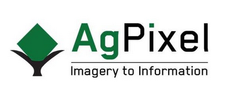 AGPIXEL IMAGERY TO INFORMATION logo