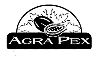 AGRA PEX logo