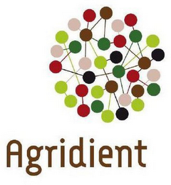 AGRIDIENT logo