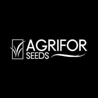 AGRIFOR SEEDS logo