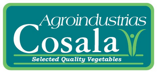 AGROINDUSTRIAS COSALA SELECTED QUALITY VEGETABLES logo