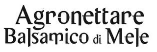 AGRONETTARE BALSAMICO DI MELE logo