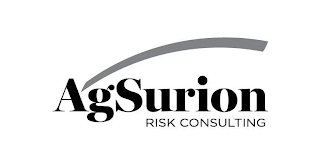 AGSURION RISK CONSULTING