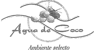 AGUA DE COCO AMBIENTE SELECTO logo