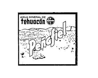 AGUA MINERAL DE TEHUACAN CON GAS PENAFIEL logo
