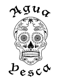 AGUA YESCA logo
