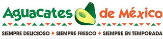 AGUACATES DE MEXICO SIEMPRE DELICIOSO SIEMPRE FRESCO SIEMPRE EN TEMPORADA logo