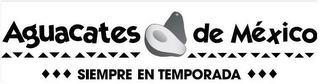 AGUACATES DE MEXICO SIEMPRE EN TEMPORADA logo