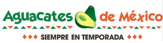AGUACATES DE MEXICO SIEMPRE EN TEMPORADA logo