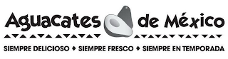 AGUACATES DE MÉXICO SIEMPRE DELICIOSO SIEMPRE FRESCO SIEMPRE EN TEMPORADA logo