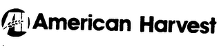 AH AMERICAN HARVEST logo