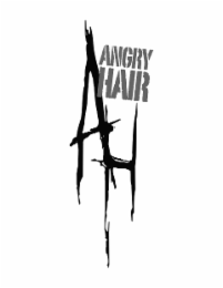 AH ANGRY HAIR logo