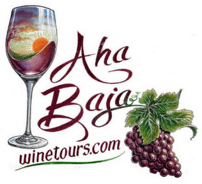 AHA BAJA WINETOURS.COM logo