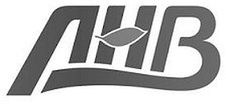 AHB logo