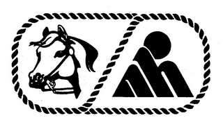 AHI logo