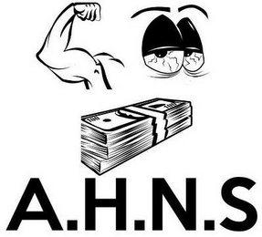 A.H.N.S logo