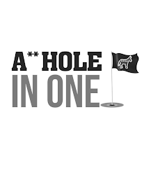A**HOLE IN ONE logo