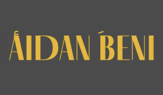 AIDAN BENI logo