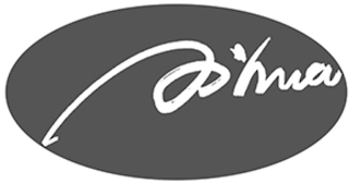AIHUA logo