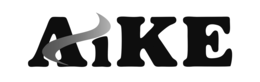 AIKE logo