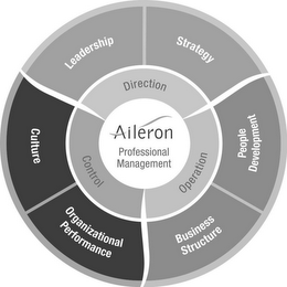 AILERON PROFESSIONAL MANAGEMENT DIRECTION LEADERSHIP STRATEGY OPERATION BUSINESS STRUCTURE PEOPLE DEVELOPMENT CONTROL CULTURE ORGANIZATIONAL PERFORMANCE logo