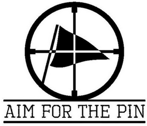 AIM FOR THE PIN logo